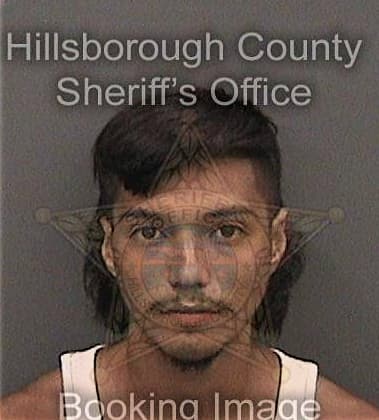Donald Whitfield - Hillsborough County, FL 