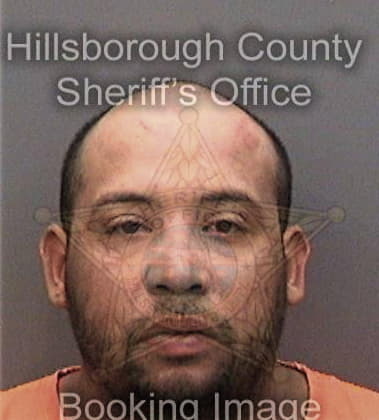 Hugo Estradapacheco, - Hillsborough County, FL 