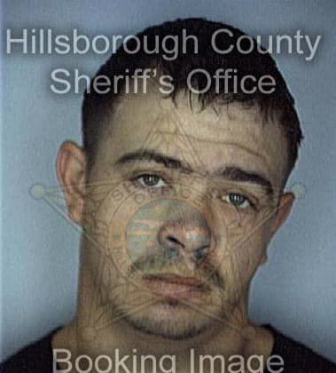 Michael Gugliotta, - Hillsborough County, FL 