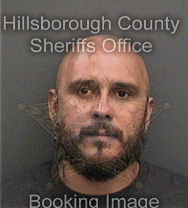 Yorge Guzman-Alvarez, - Hillsborough County, FL 