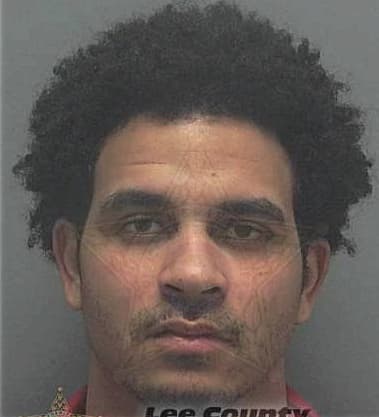 Vicente Hernandez, - Lee County, FL 