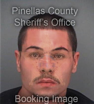 Michael Montoya, - Pinellas County, FL 