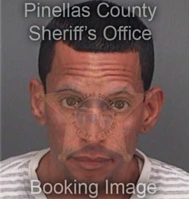 Edison Perez, - Pinellas County, FL 