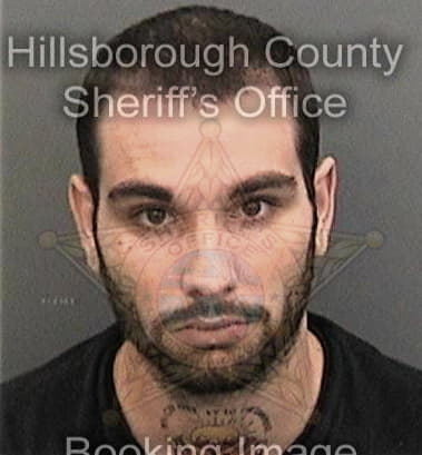 Robert Whitacre - Hillsborough County, FL 