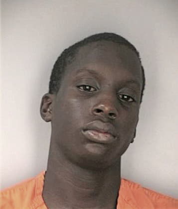 Julian Andrews, - Hillsborough County, FL 