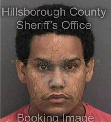 Ricky Bronson, - Hillsborough County, FL 