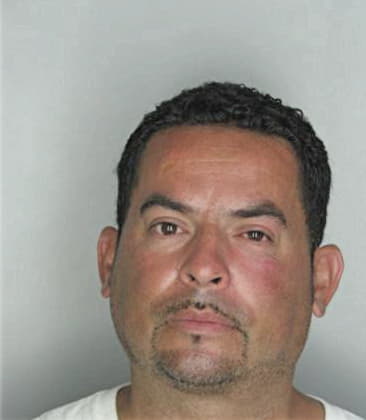 Agustin Hernandezgarcia - Hillsborough County, FL 