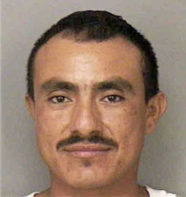 Cesar Lunacriado, - Polk County, FL 