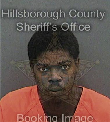 Jerry McNeil - Hillsborough County, FL 