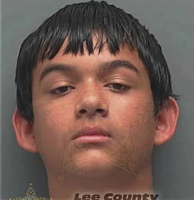 Evelio Mejia, - Lee County, FL 