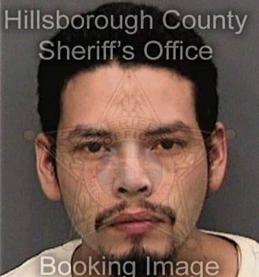 Michael Seravello, - Hillsborough County, FL 