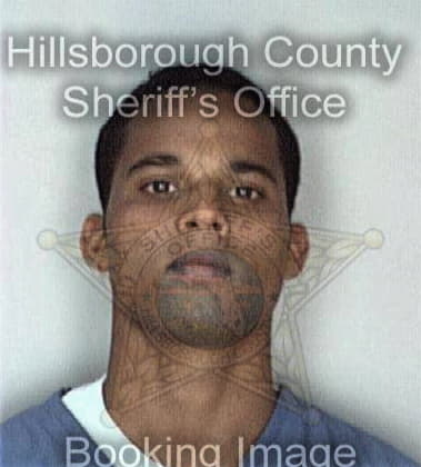 Daniel McAlister - Hillsborough County, FL 