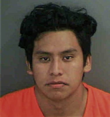 Waskar Mendoza-Alvarado, - Collier County, FL 