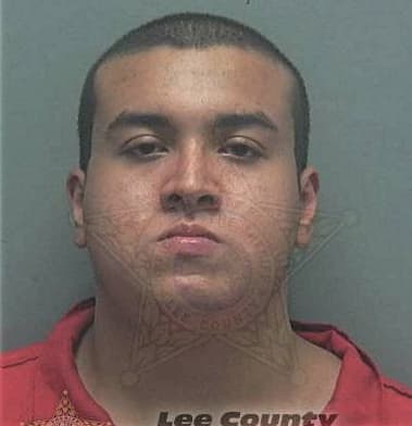 Gustavo Montoya, - Lee County, FL 