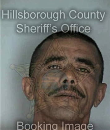 Jose Trevino, - Hillsborough County, FL 