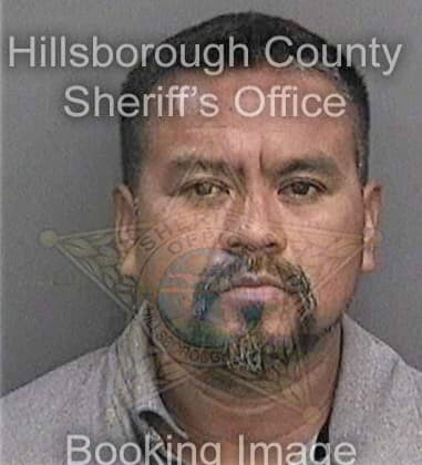 Luke Weronik, - Hillsborough County, FL 