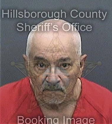 Christian Irizarryhernandez, - Hillsborough County, FL 