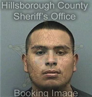 Jonathan Perez, - Hillsborough County, FL 