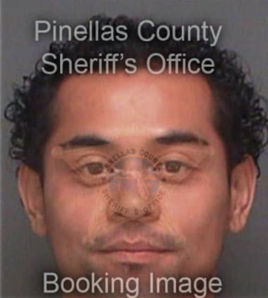 Carlos Perlanza, - Pinellas County, FL 