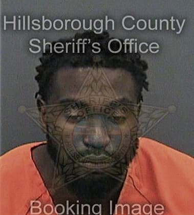 Micheal Robinson, - Hillsborough County, FL 