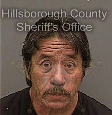 Christian Valdez, - Hillsborough County, FL 