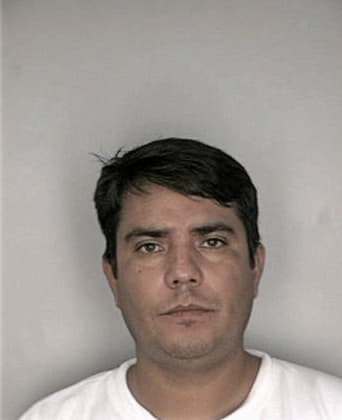 Dionicio Velazquezperez, - Hillsborough County, FL 