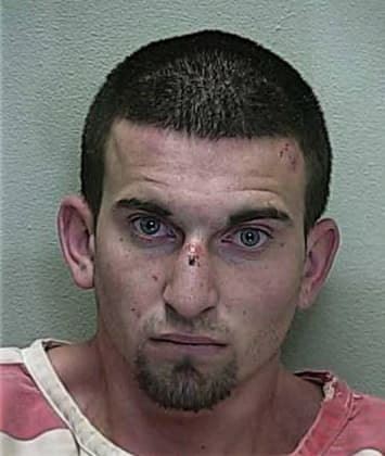 Alexander Vidal, - Marion County, FL 