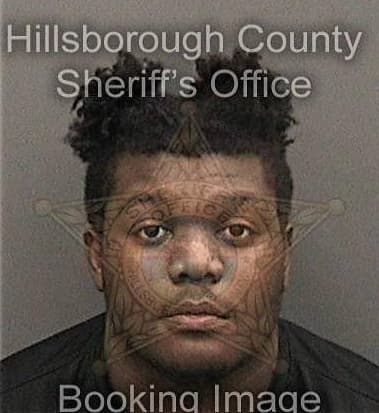 Carlos Celormy, - Hillsborough County, FL 