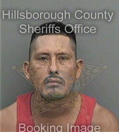 Armando Hernandez - Hillsborough County, FL 