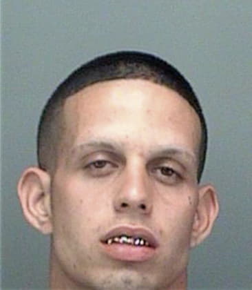 Omar Hernandeztur, - Pinellas County, FL 