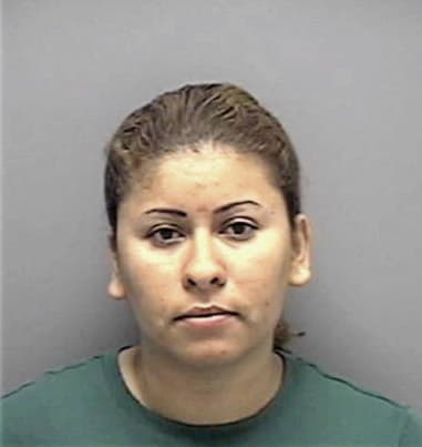 Cynthia Lighty, - Lee County, FL 