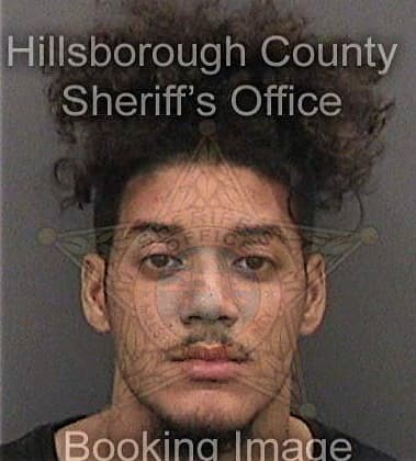 Peter Parson, - Hillsborough County, FL 