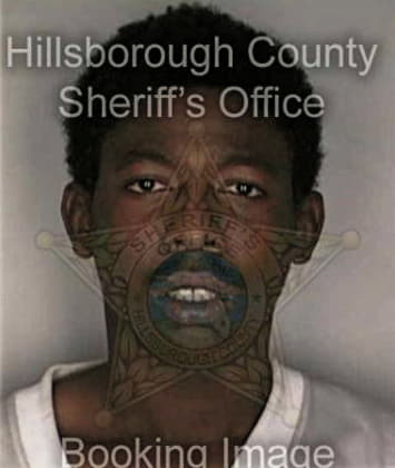 Bandy Boggs - Hillsborough County, FL 