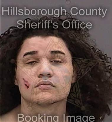 Alexander Hernandez-Delgado - Hillsborough County, FL 