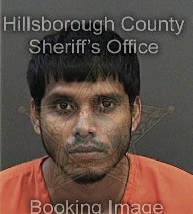 Anand Patel, - Hillsborough County, FL 