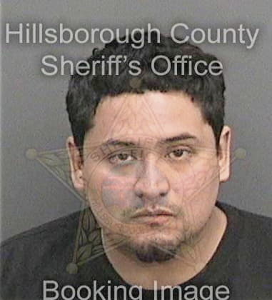 Steven Santiago, - Hillsborough County, FL 