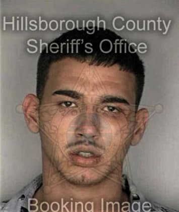 Robert Wilce - Hillsborough County, FL 