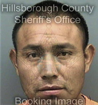 Michael Ansley, - Hillsborough County, FL 