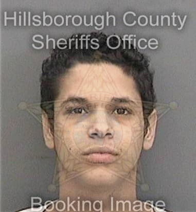 Matthew Brown, - Hillsborough County, FL 