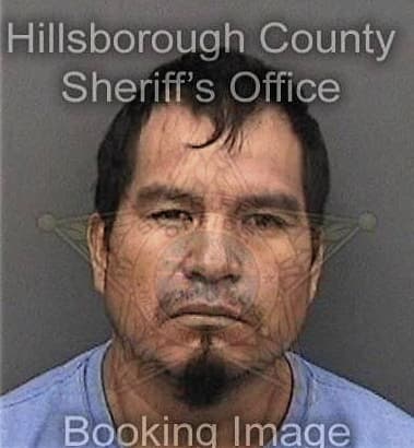 Julio Ortizsantiago, - Hillsborough County, FL 