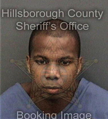 Seth Snell, - Hillsborough County, FL 