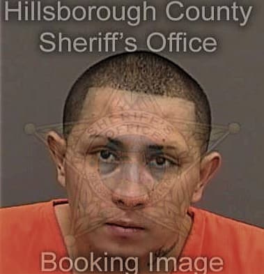 Patrick Vazquezgarcia, - Hillsborough County, FL 