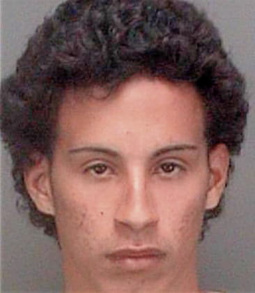 Gabriel Alvarez, - Pinellas County, FL 