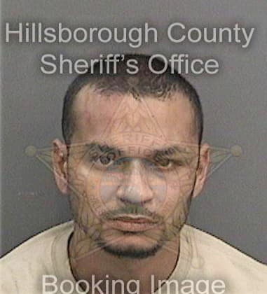 Michael Ascanio, - Hillsborough County, FL 