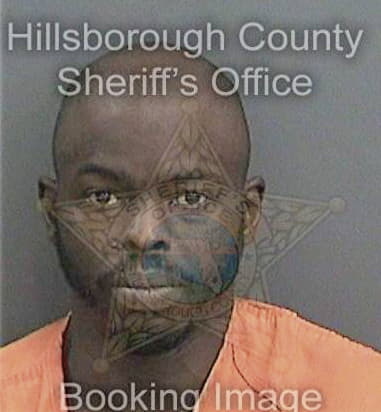 Judge Broner, - Hillsborough County, FL 