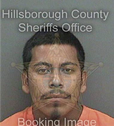 Jason Brownstead, - Hillsborough County, FL 