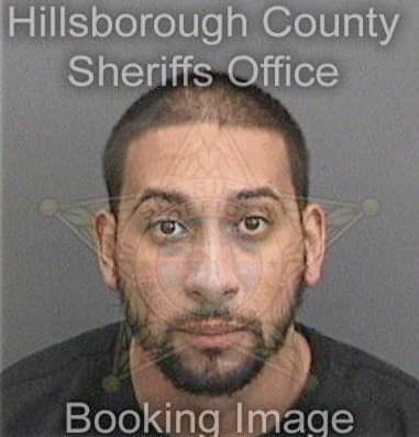 Michael Gibson, - Hillsborough County, FL 