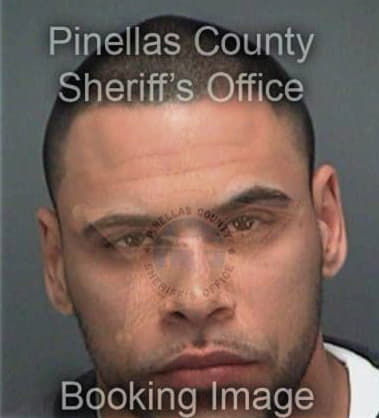 Eligio Vitevazquez, - Pinellas County, FL 