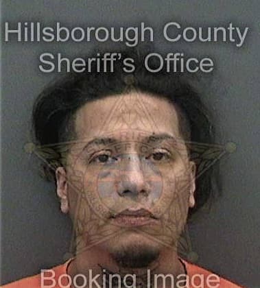 Justin Laing, - Hillsborough County, FL 