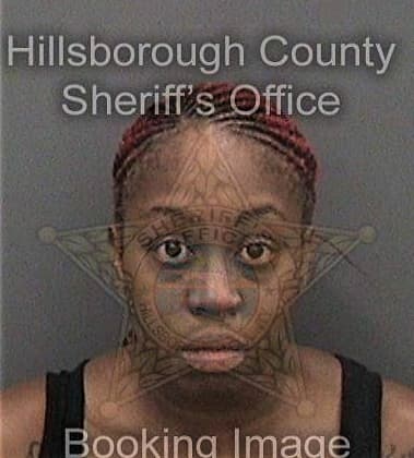 Joshtishua Larkins, - Hillsborough County, FL 